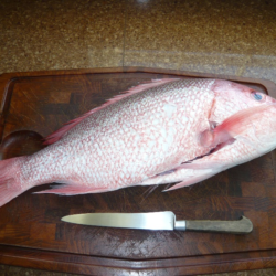 Cooking the whole fish