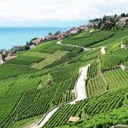Farming in Switzerland